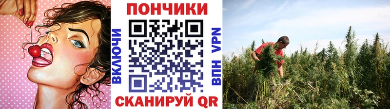 APVP Боровичи