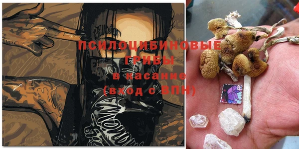 прущие крисы Белокуриха