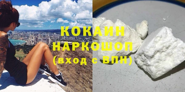 дживик Богородск
