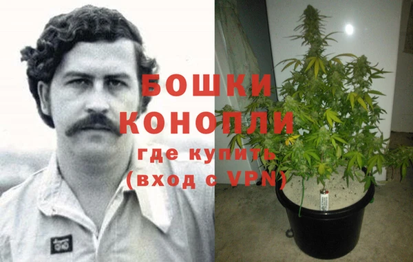 прущие крисы Белокуриха