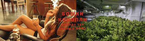 прущие крисы Белокуриха