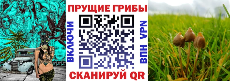 Псилоцибиновые грибы ЛСД  omg ТОР  Боровичи 